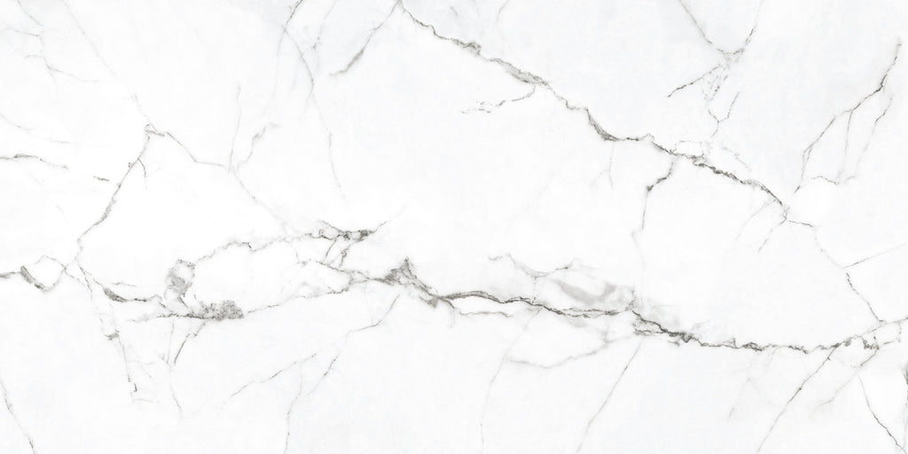 Himalayan Snow 60x120