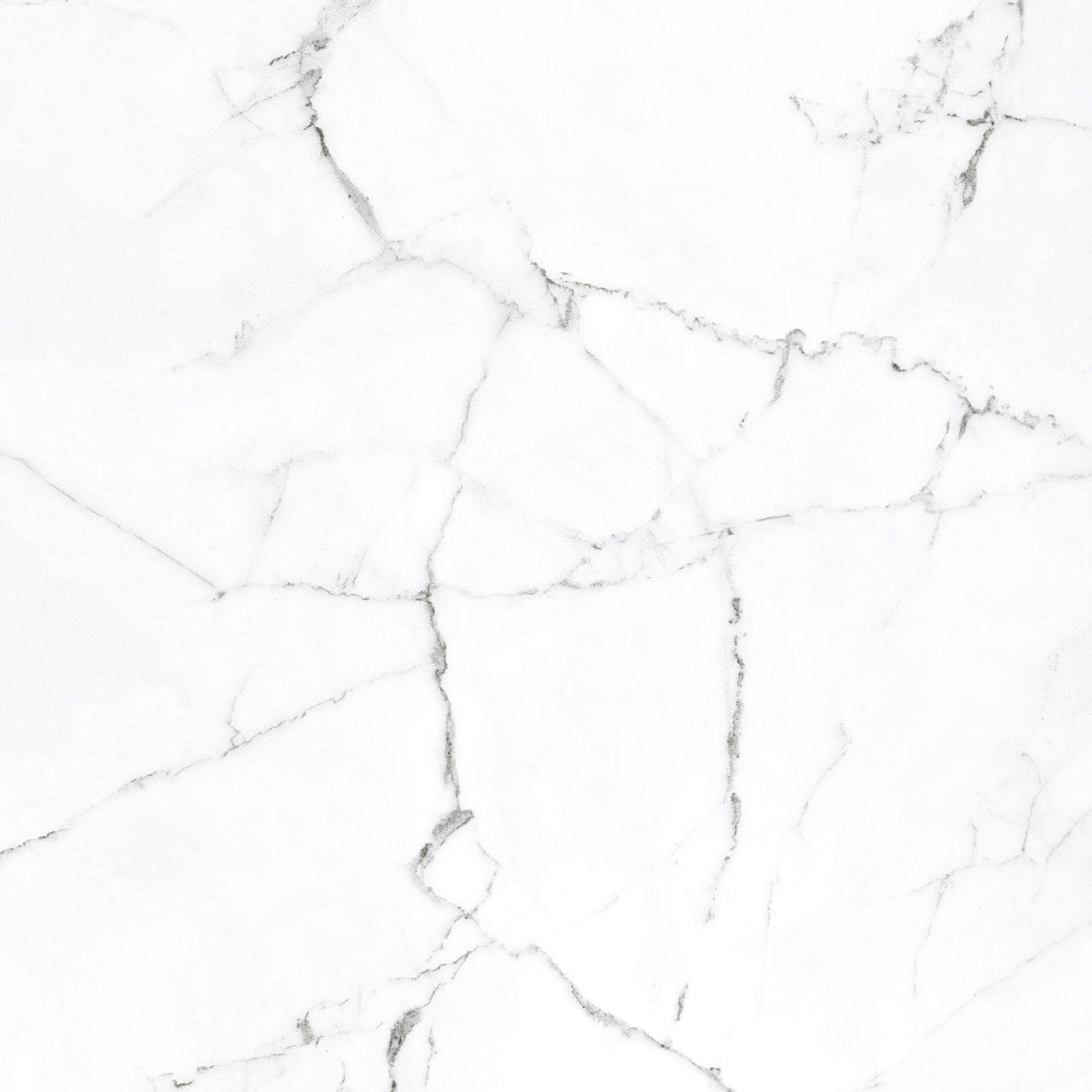 Himalayan Snow 60x60