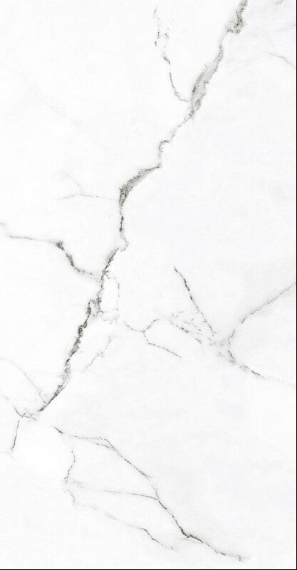 Himalayan Snow 30x60