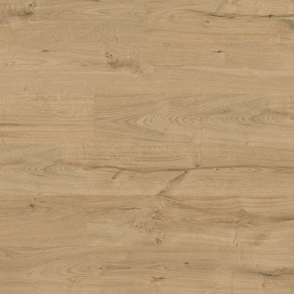 Acorn Wild Oak - 8mm High Gloss Laminate Flooring