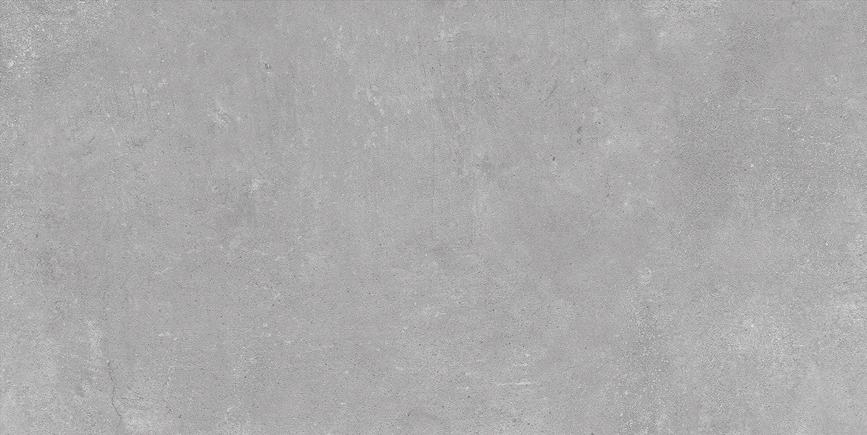 Ash Silver 30x60