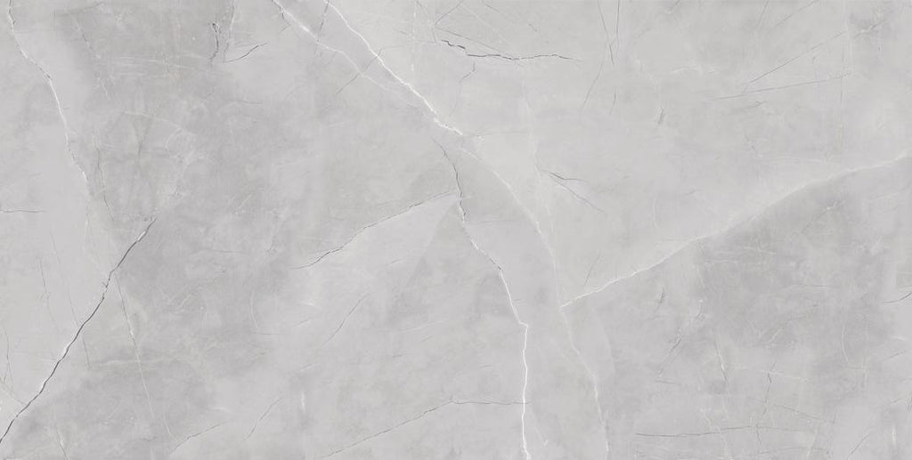 Moonstone Grey 60x120