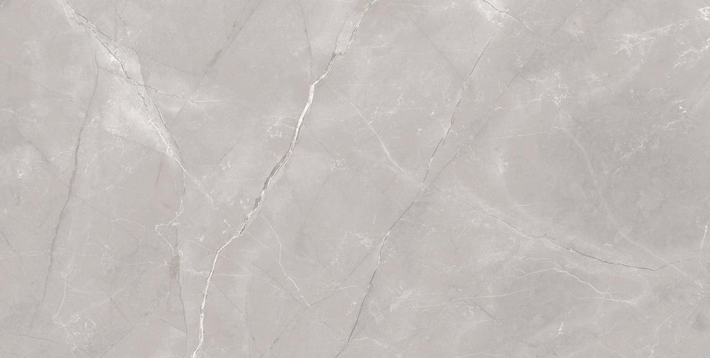 Autumn Light Grey 60x120