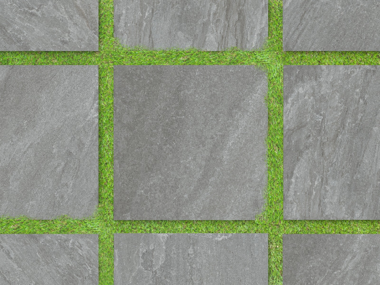 Rasa Grey 60x60