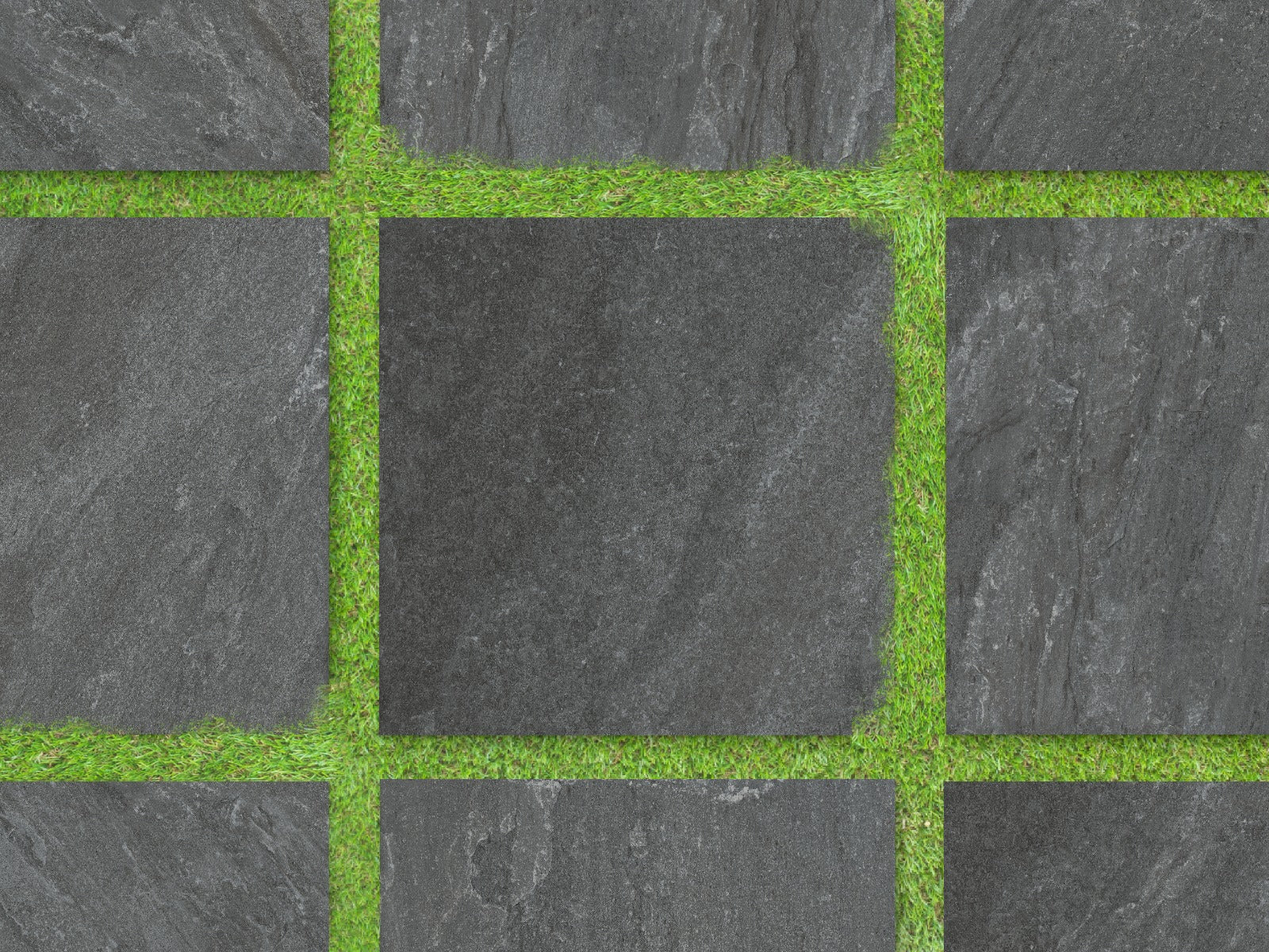 Rasa Nero 60x60