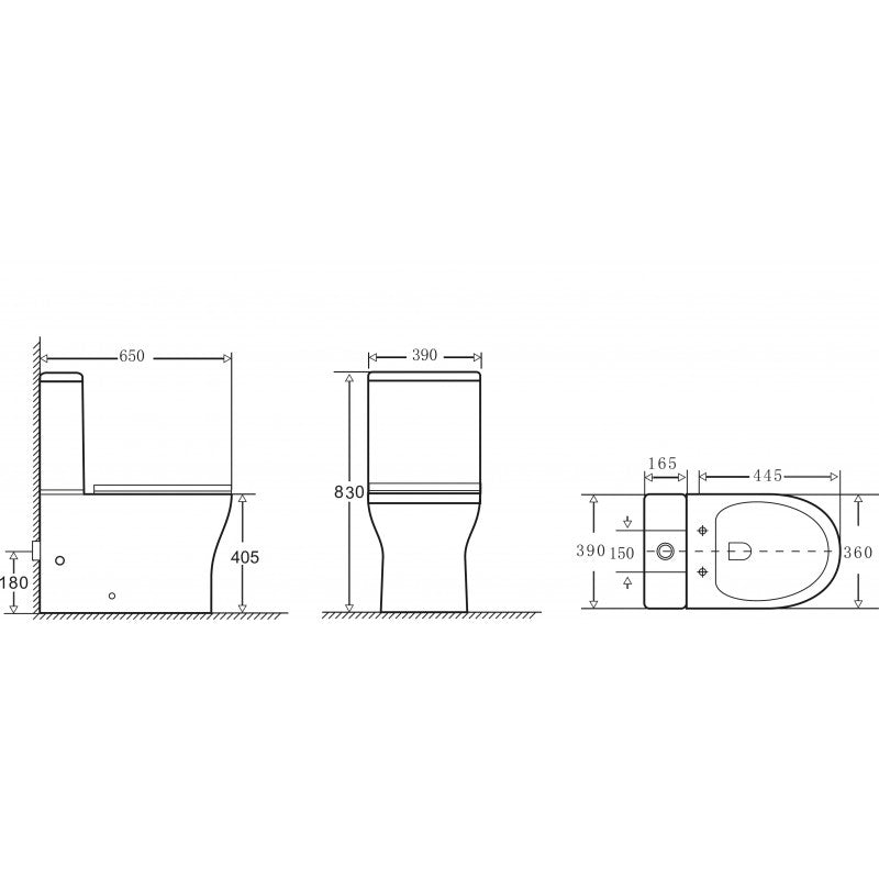 Wave Rimless C/C Fully Back to Wall WC